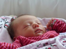 Kurz in der Wiege.JPG